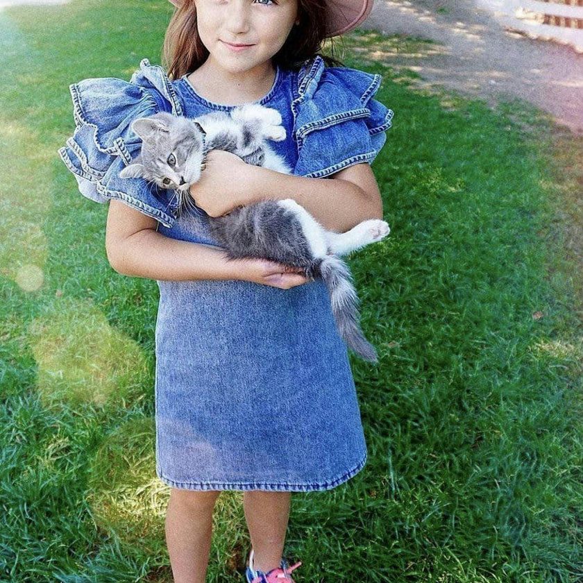 Denim Ruffle Dress