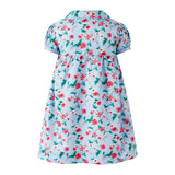 Blue Smocked Button-Front Dress and Bloomers