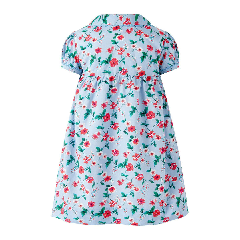 Blue Smocked Button-Front Dress and Bloomers