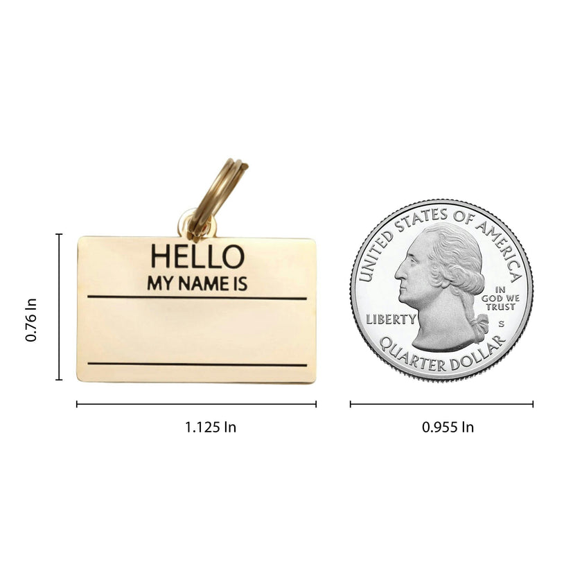 Hello My Name is Pet ID Tag