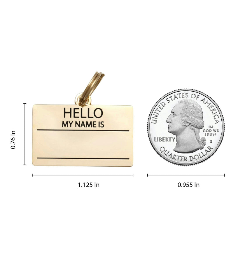 Hello My Name is Pet ID Tag