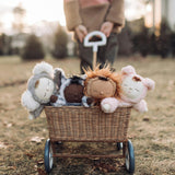 Cozy Dinkum Plush