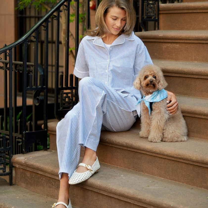 Adult Friday Pant in Oxford Blue Stripe