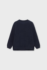 Organic Cotton Knit Sweater