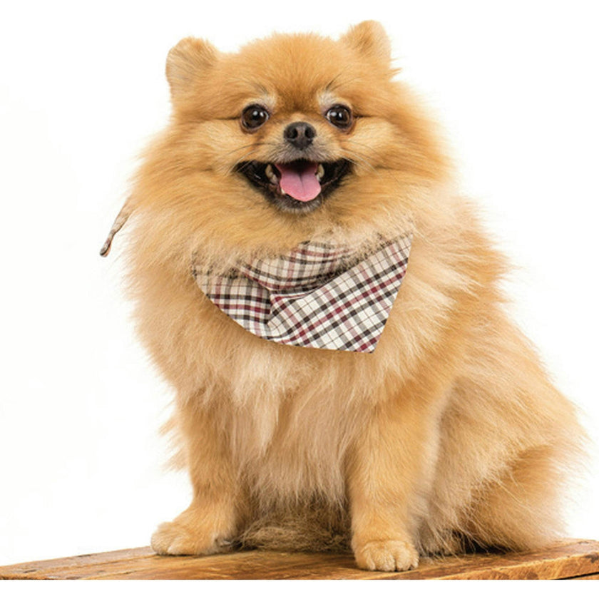 Holiday Neckwear, Plaid