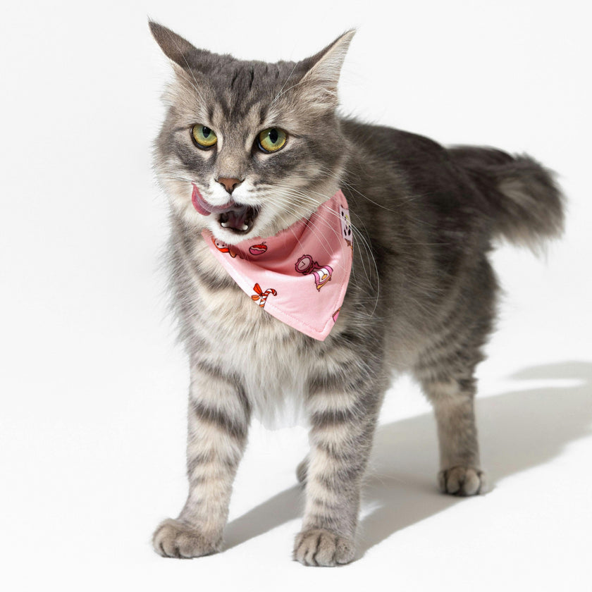 Nutcracker Pink Bamboo Pet Scarf