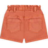 Paperbag Style Silhouette Waist Shorts