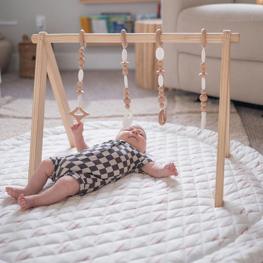 Play Gym Set