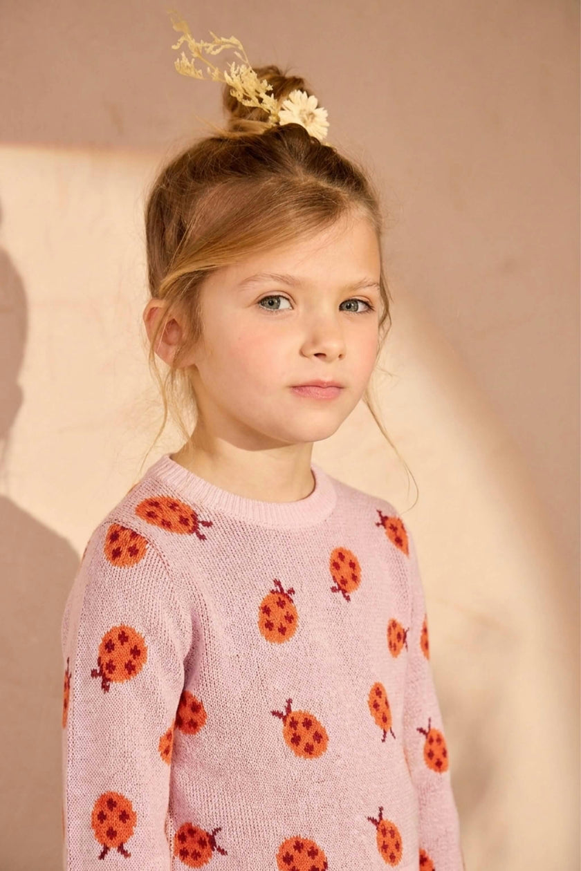 Ladybird Jumper | Rose