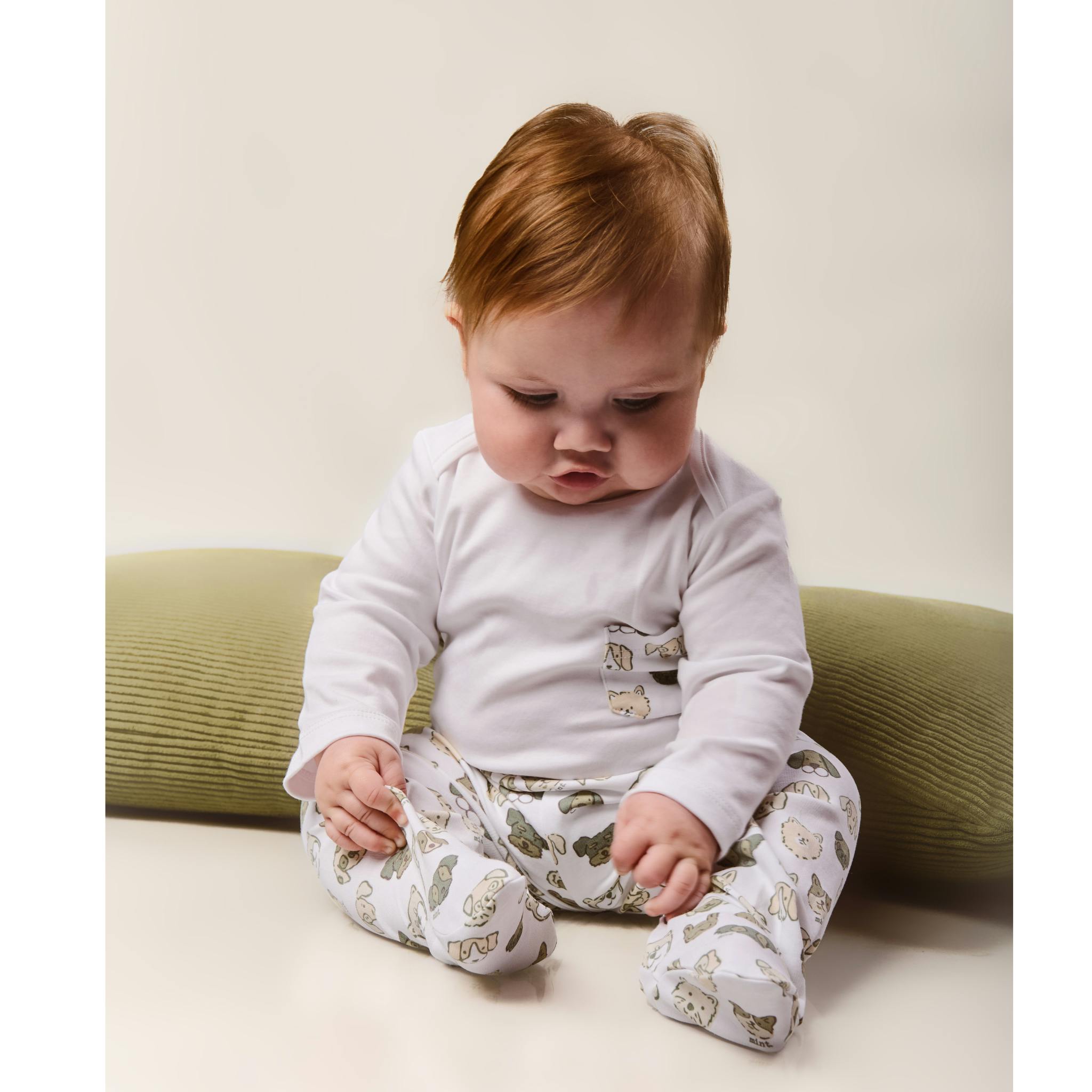 Mini Woof Squad Grey Set