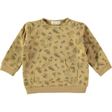 Signs of Autumn Pullover