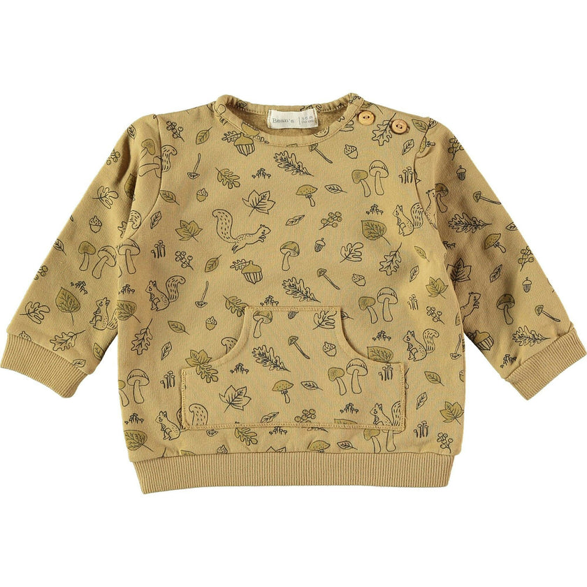 Signs of Autumn Pullover