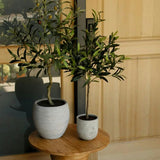 Artificial Olive Topiary Tree with Mediterranean Pot