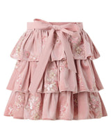 Destiny Velvet Frill Mini Skirt