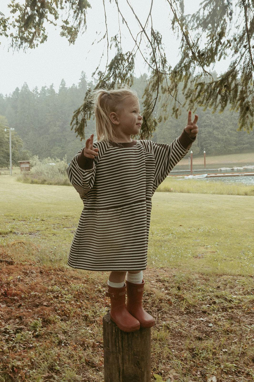 Kelsey Dress in Turtledove Chocolate Stripe