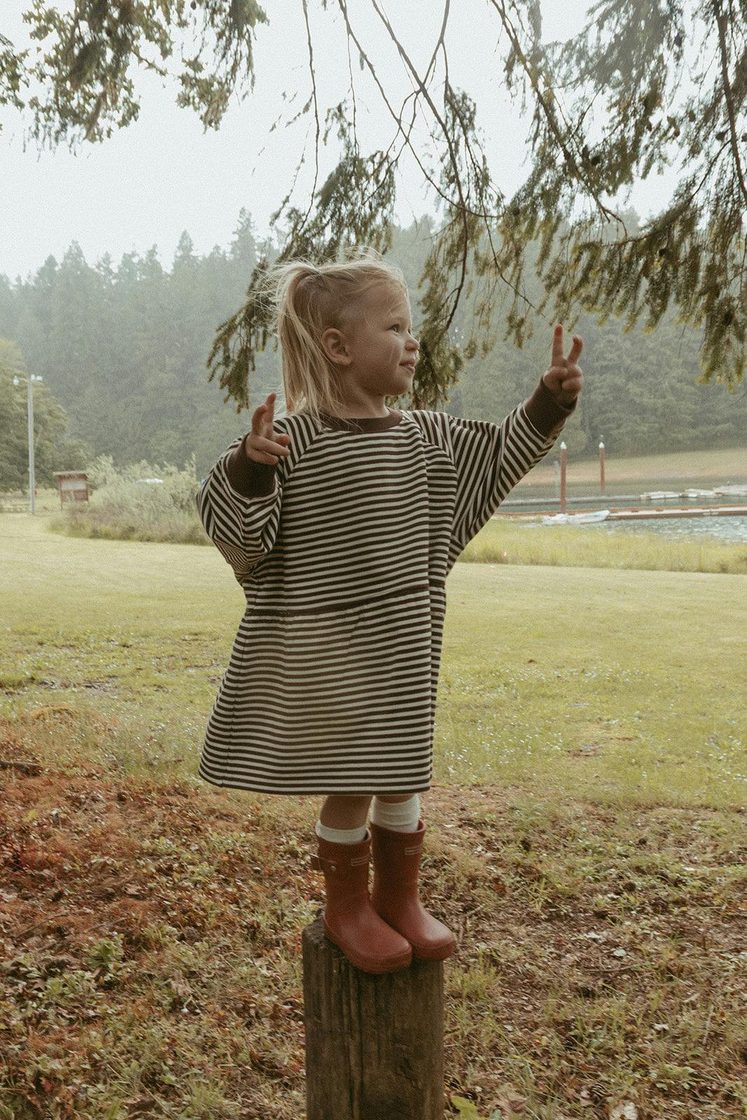 Kelsey Dress in Turtledove Chocolate Stripe
