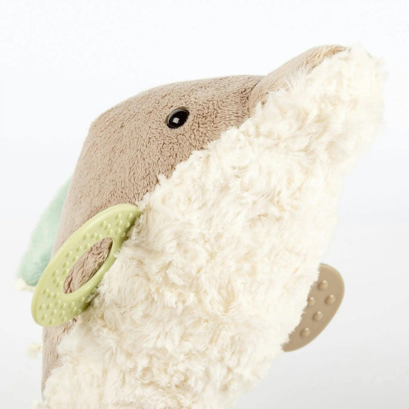 Dolphin Activity Toy
