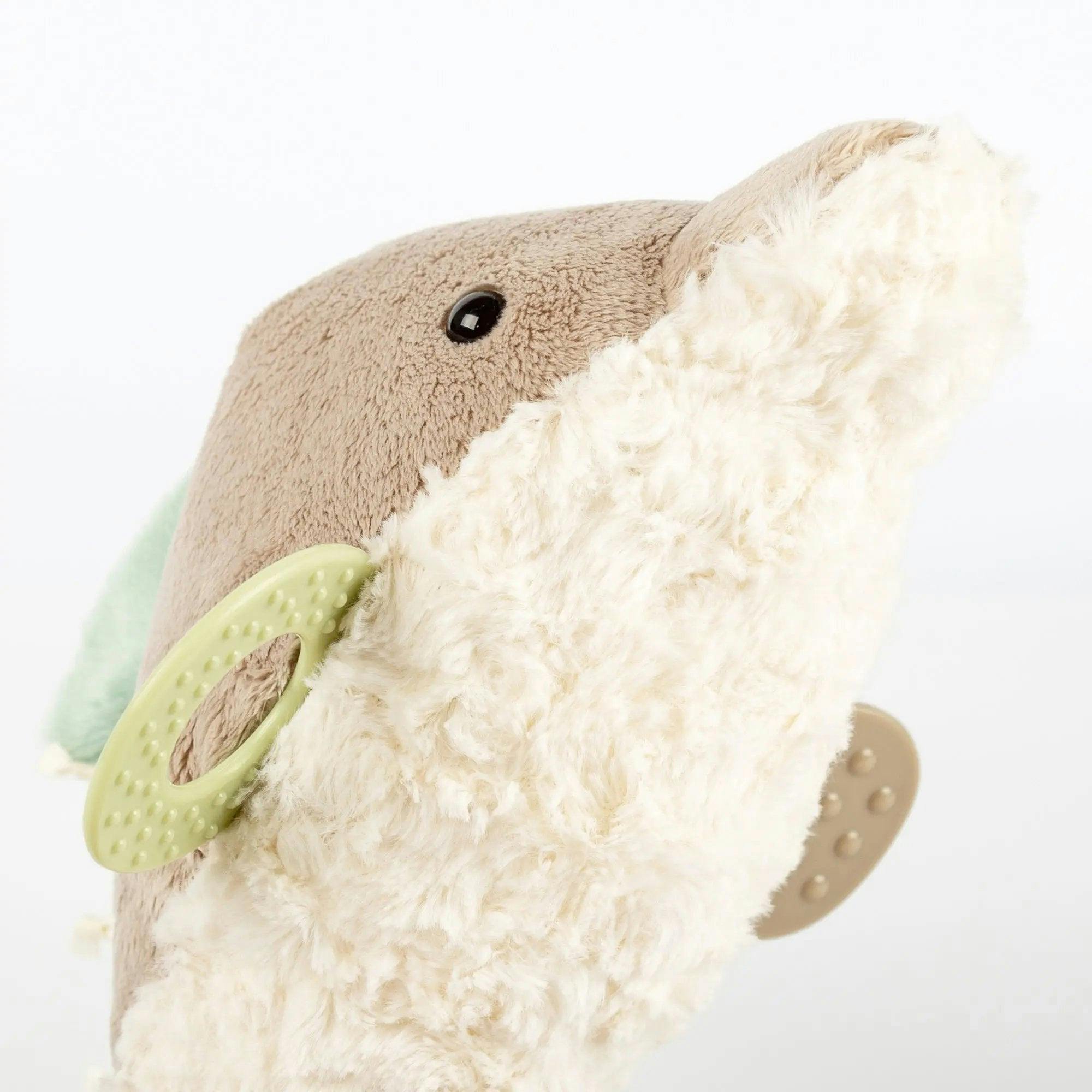 Dolphin Activity Toy