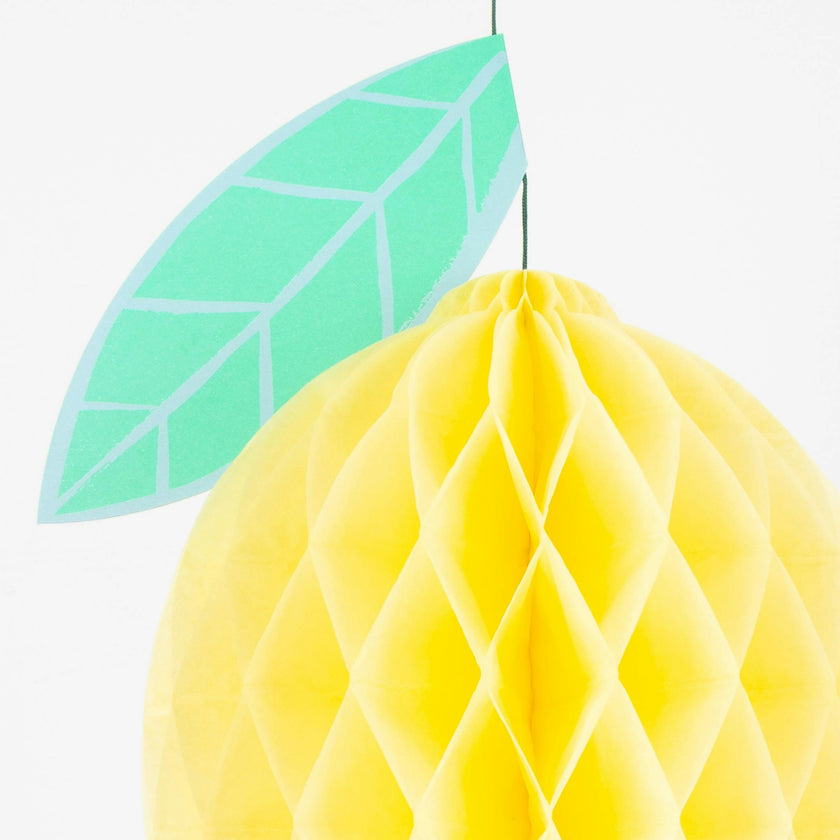 Tropical Fruit Honeycomb Decorations