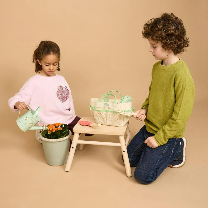 Mini Garden Kit