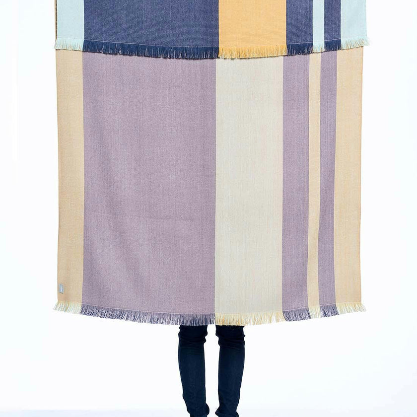 Reversible Throw Blanket