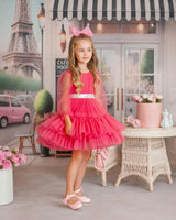 Parisian Rosé Pink Tulle Birthday Party Dress for Girls