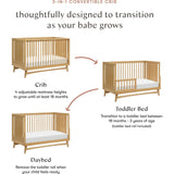 Peggy Mid-Century 3-in-1 Convertible Crib