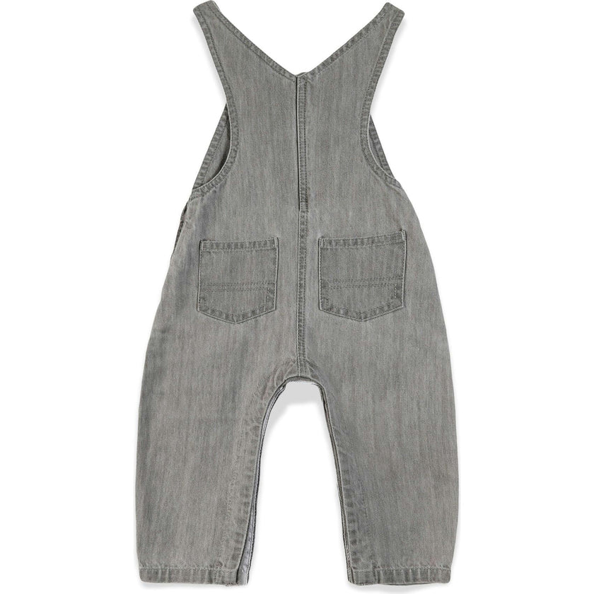 BONTON Soft Grey Embroidered Icare Baby Overalls