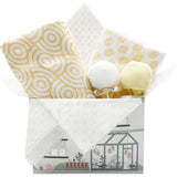 Swaddles and Socks New Baby Gift Set