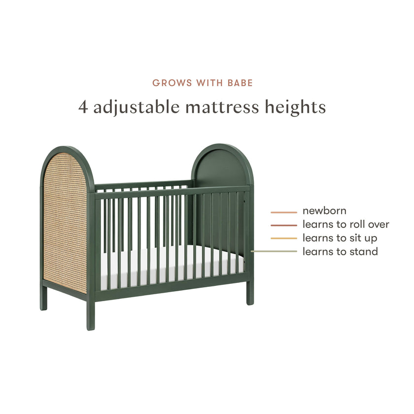Babyletto Bondi Cane 3-in-1 Convertible Crib with Toddler Bed Conversion Kit