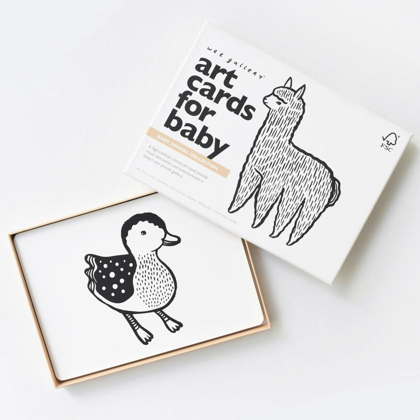 Baby Animals
