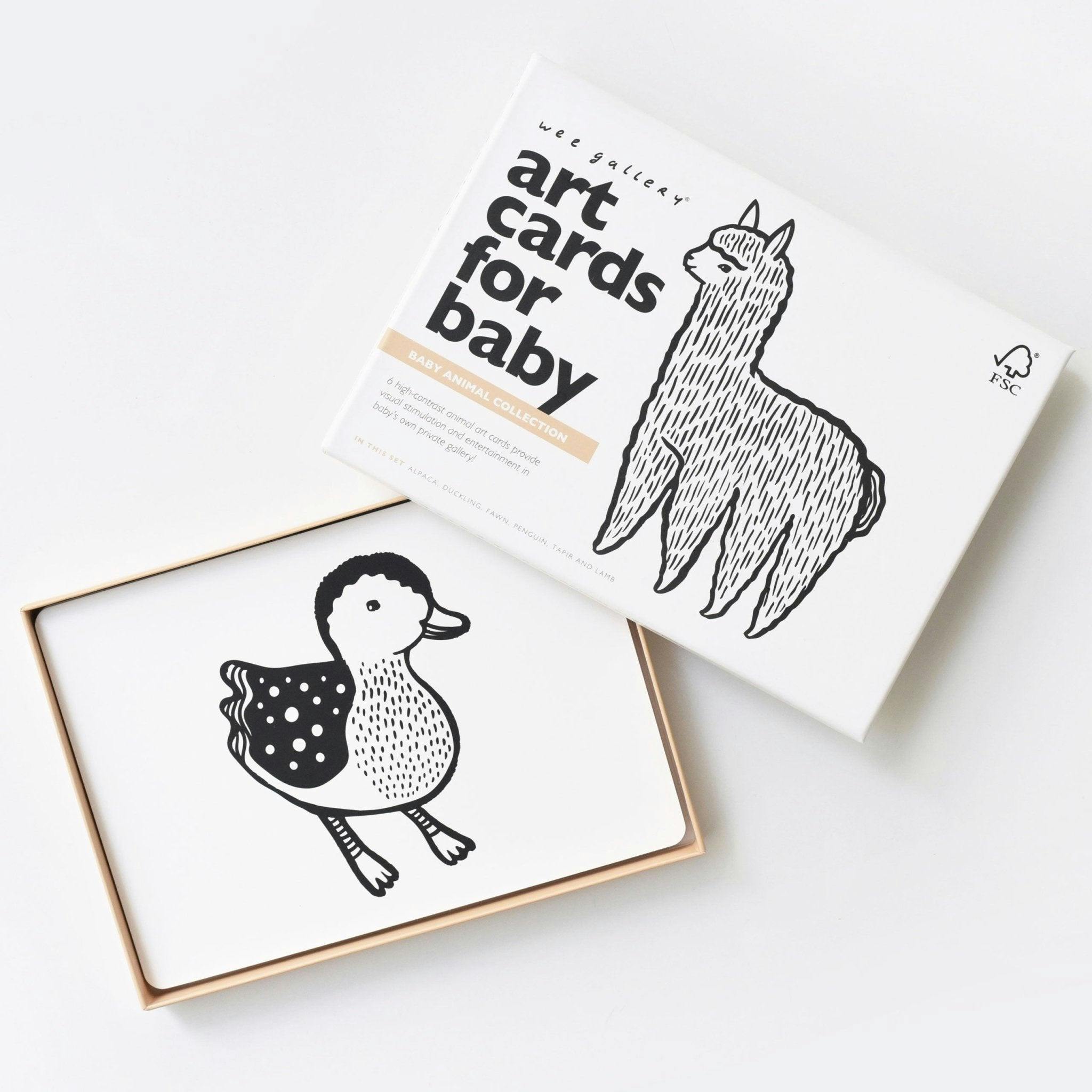 Baby Animals