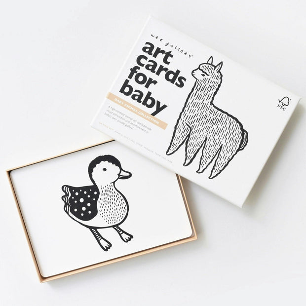 Baby Animals