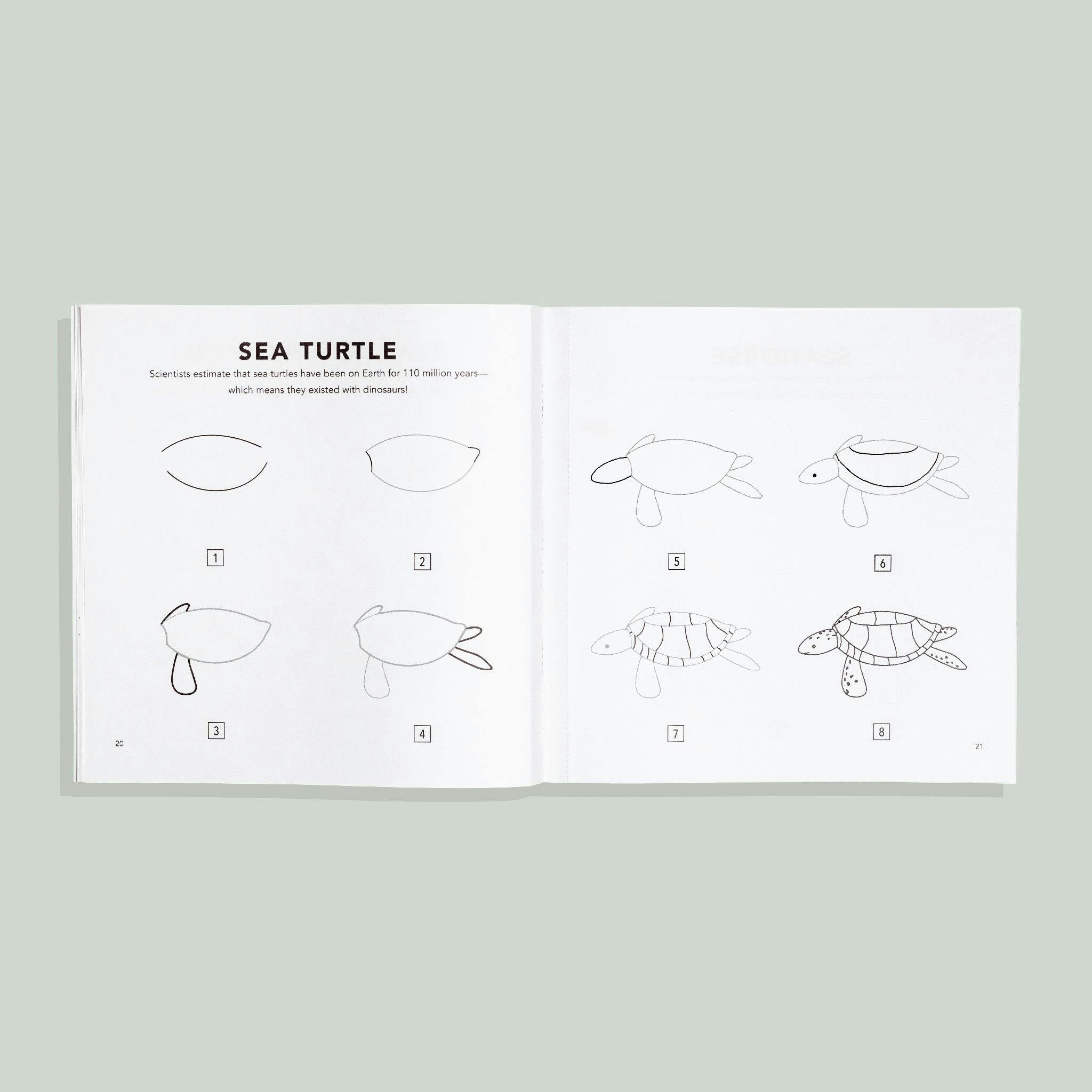 How to Draw Under the Sea for Kids