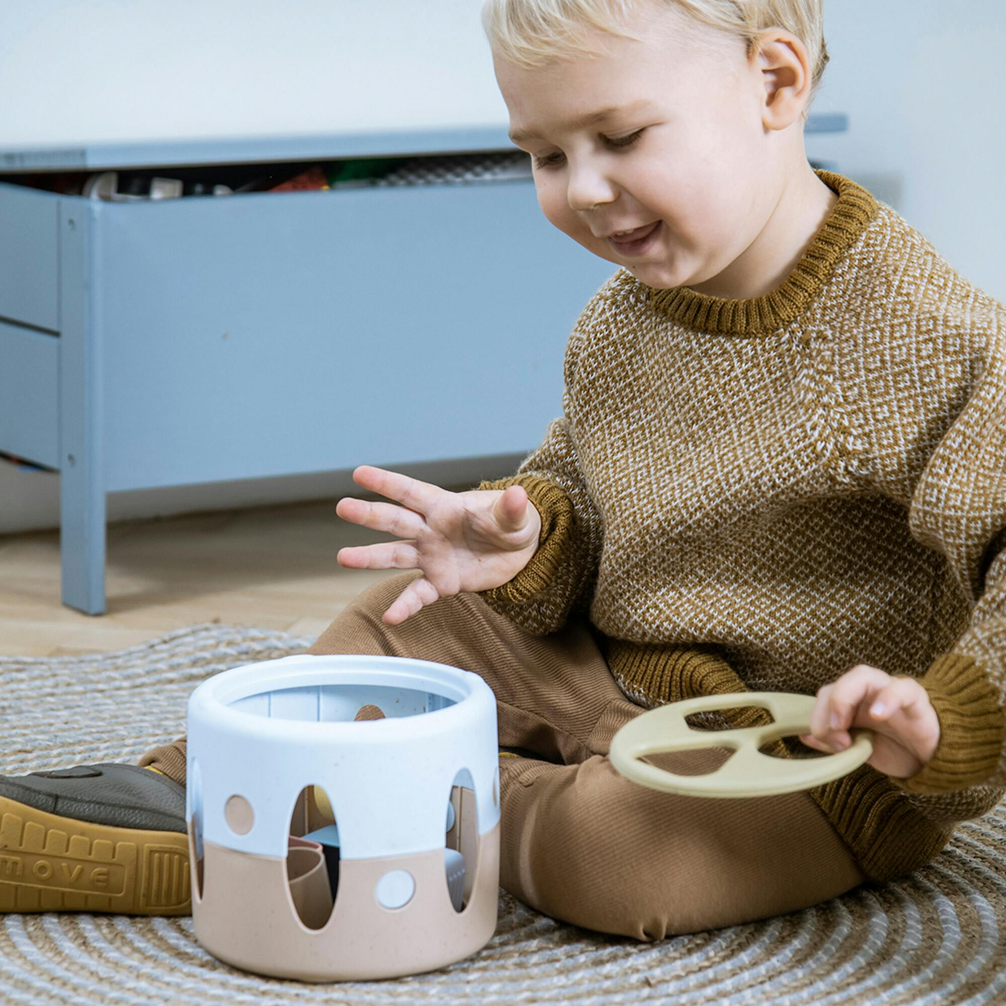Tiny BIO: Shape Sorter