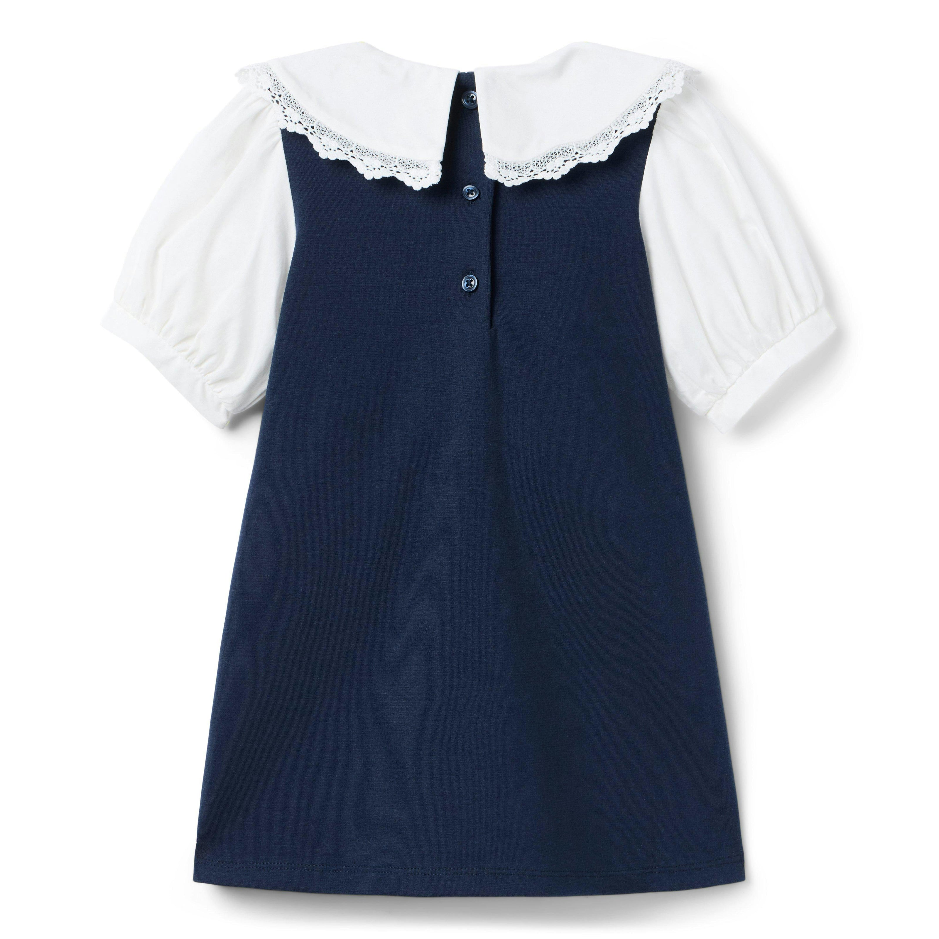 Lace Trim Collar Ponte Dress, navy blue