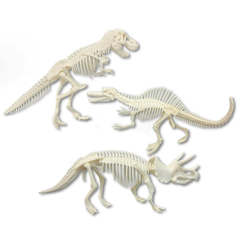 Dissect-It: Dino Dig