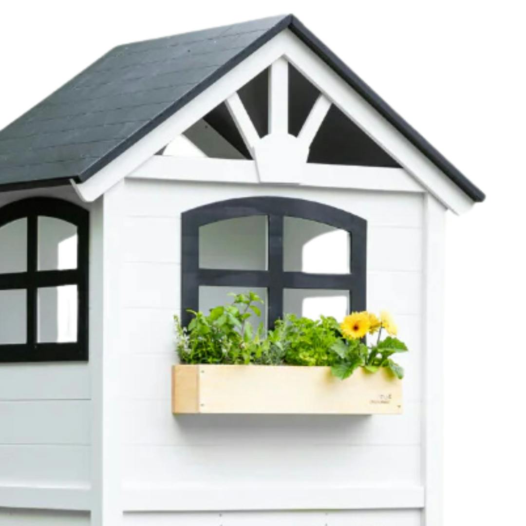 Window Box
