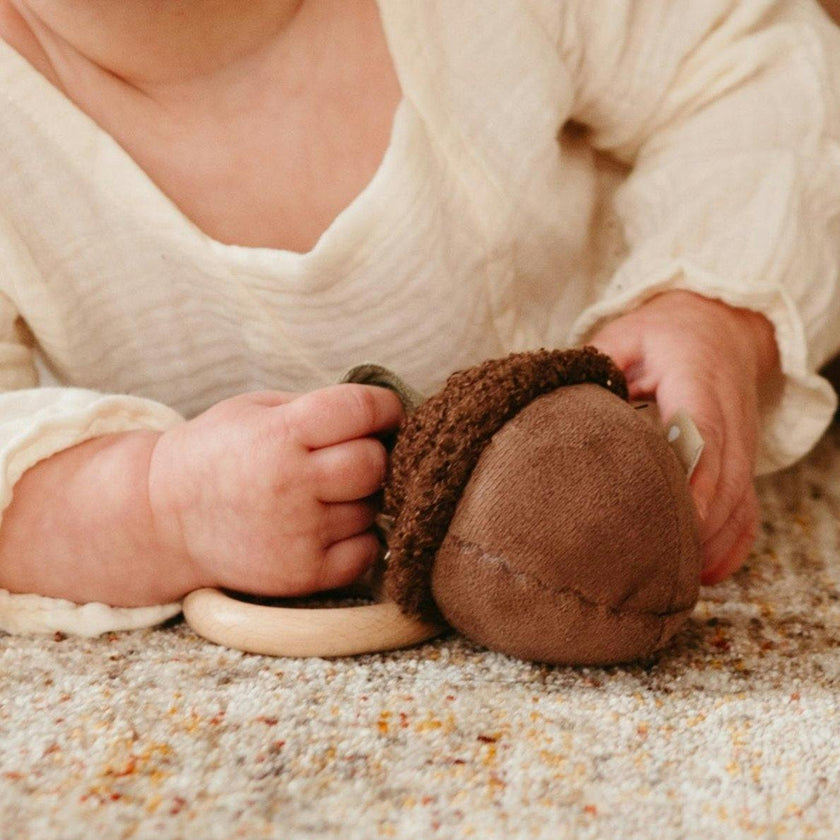 ACORN