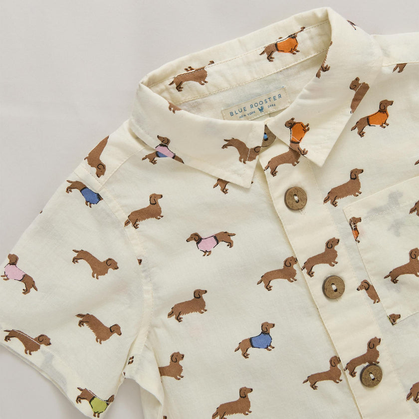 Baby Boys Jack Shirt - Dachshunds In Sweaters