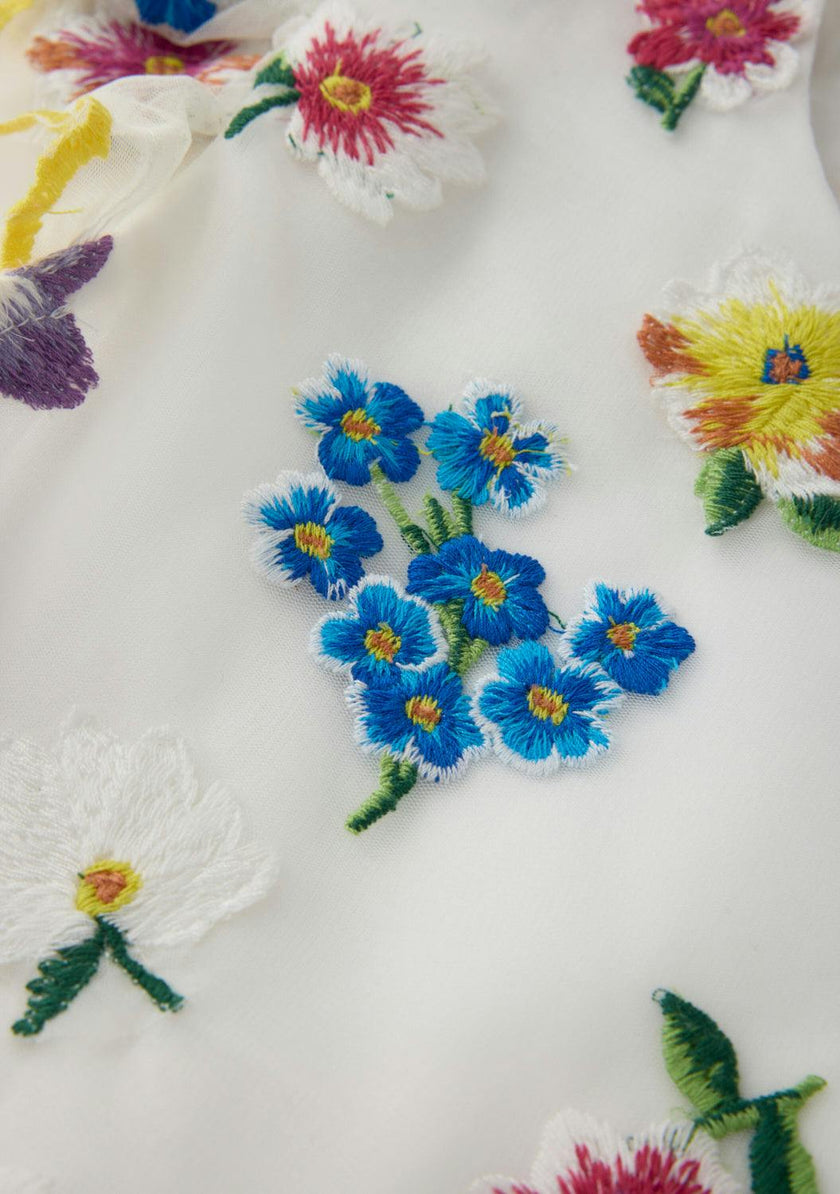 Carly Embroidered Mini Dress