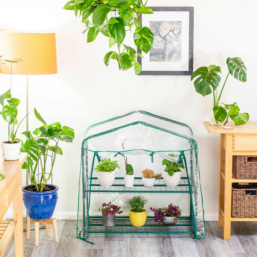 GreenThumb Classroom Greenhouse