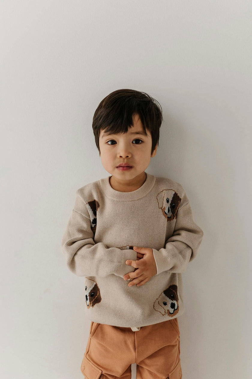 Boys Knit Sweater in Puppies