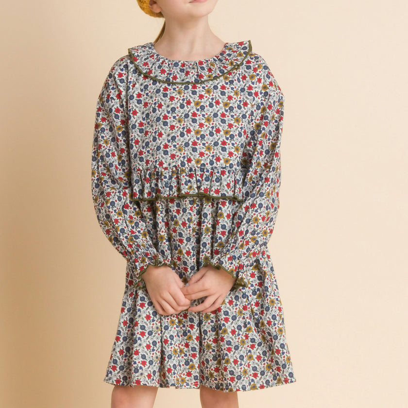Ruffle Collar Long Sleeve Dress