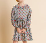 Ruffle Collar Long Sleeve Dress