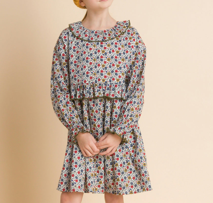 Ruffle Collar Long Sleeve Dress