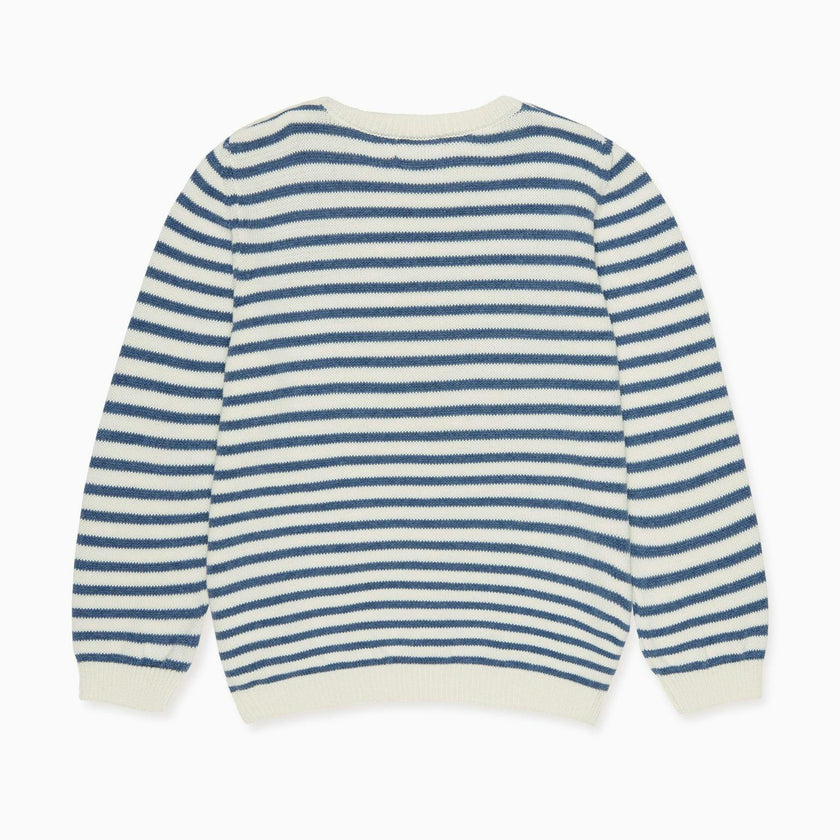 Blue Stripe Limon Cotton Boy Jumper