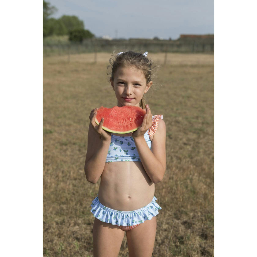Blueberry Print Vichy Ruffle Bikini, Multi