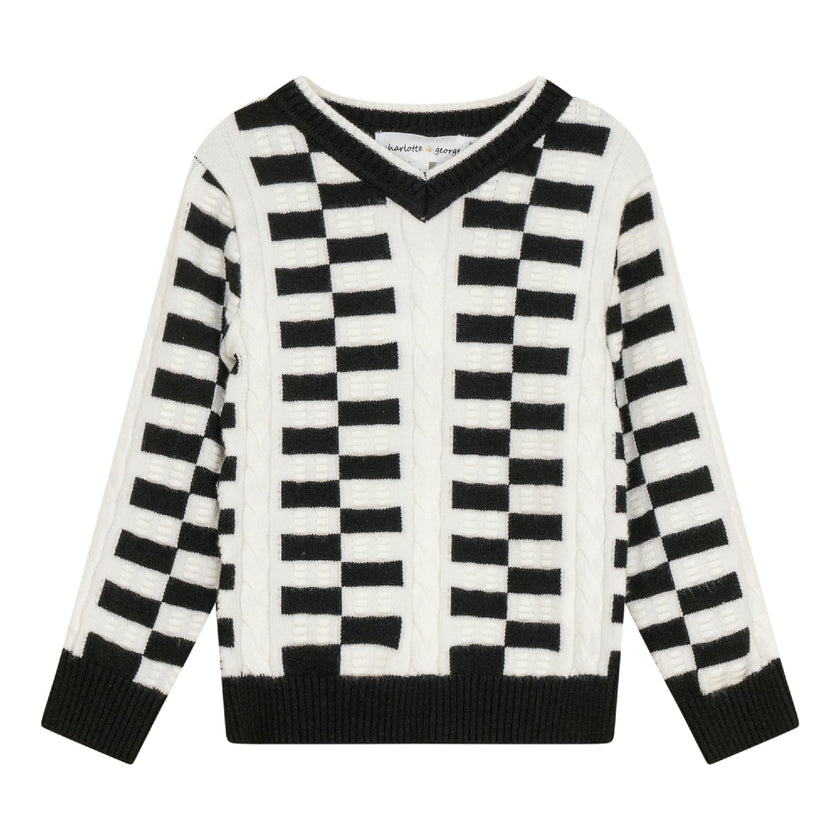 Knit Textured V-Neck Sweater