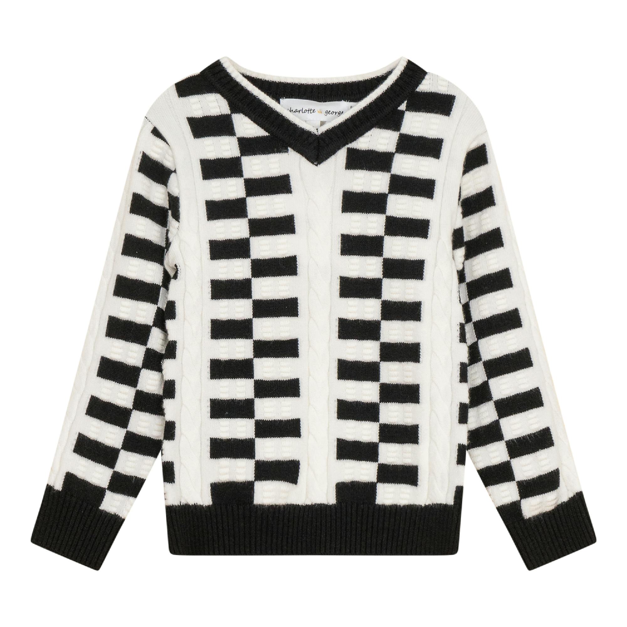 Knit Textured V-Neck Sweater